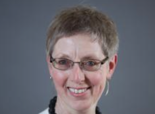 Prof. Dr. Ricarda Schmidt